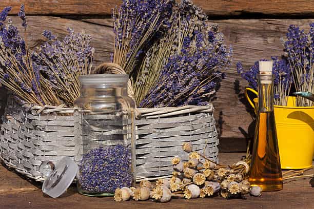 تصویر 4 از اسطو خودوس خشک خوش‌ عطر برای دمنوش و آرامش اعصاب